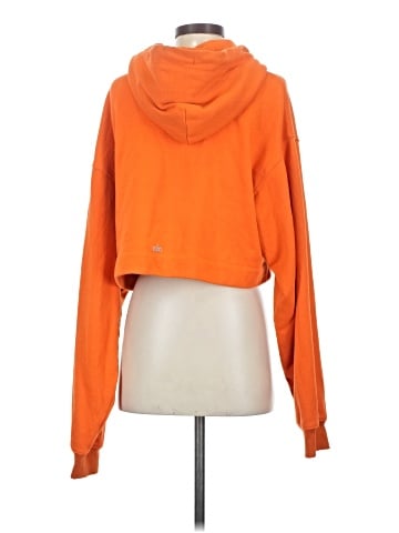 Alo Yoga Sweatshirt (view 2)