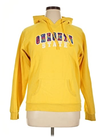 Champion Pullover Hoodie (view 1)