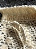 Alexa Chung for Madewell Ivory Pullover Sweater Size XL - photo 7