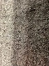 CAbi Solid Gray Casual Skirt Size 4 - photo 5