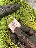 1.State Green Cocktail Dress Size XS - photo 8