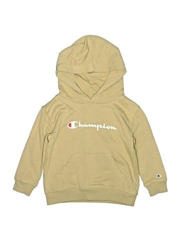Champion Pullover Hoodie (view 1)