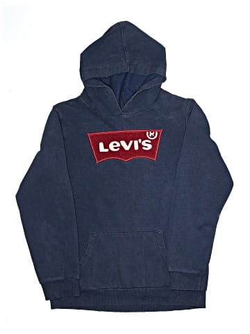Levi's Pullover Hoodie (view 1)