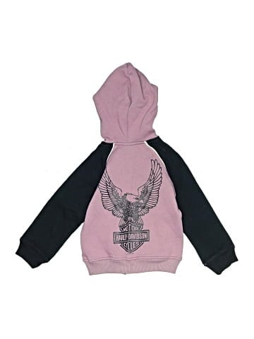 Harley Davidson Zip Up Hoodie (view 2)