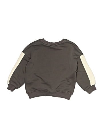 Zara Sweatshirt (view 2)