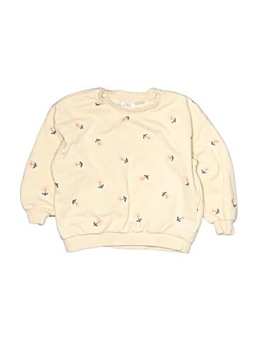 Zara Sweatshirt (view 1)
