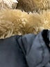 Unbranded 100% Polyester Solid Black Snow Jacket Size 5 - photo 3