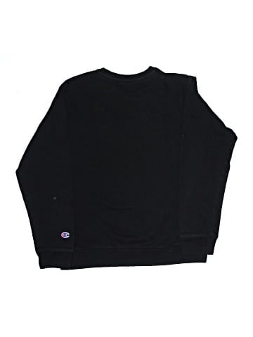 Champion Sweatshirt (view 2)