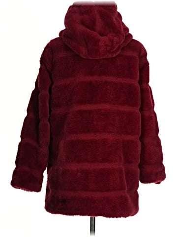 Apparis Coat (view 2)