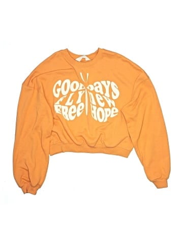 H&M Sweatshirt (view 1)