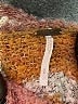 Free People Color Block Brown Turtleneck Sweater Size S - photo 7