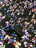 Express Floral Blue Cocktail Dress Size S - photo 7