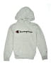 Champion Silver Pullover Hoodie Size 10 - 12 - photo 1