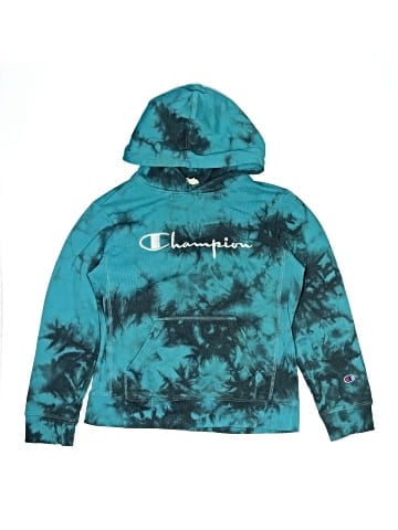 Champion Pullover Hoodie (view 1)