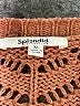 Splendid Orange Sweater Vest Size XL - photo 7