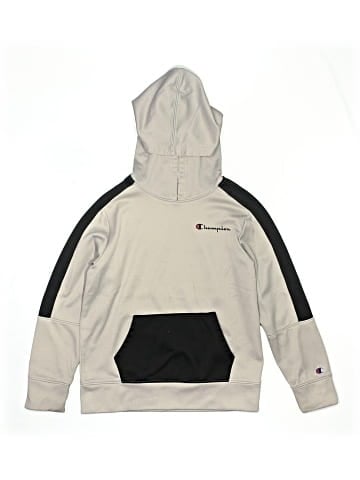 Champion Pullover Hoodie (view 1)