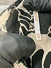 Free People 100% Rayon Print Ivory Shorts Size XS - photo 5