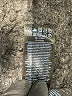 7 For All Mankind Black Cargo Shorts Size 27 waist - photo 5
