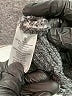 GeeGee Animal Print Gray Pullover Sweater Size S - photo 8