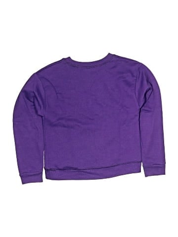 Hanes Sweatshirt (view 2)