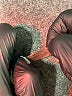 Ramy Brook Stars Black Cocktail Dress Size XS - photo 8