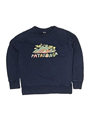 Patagonia Sweatshirt (view 1)