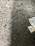 DG^2 by Diane Gilman Brown Jeans Size 10 - photo 8