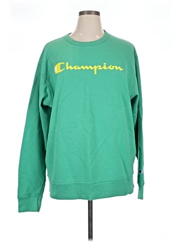 Champion Sweatshirt (view 1)