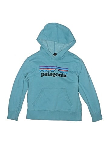 Patagonia Pullover Hoodie (view 1)