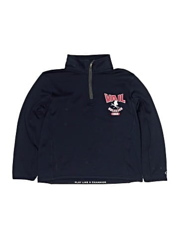 Champion Sweatshirt (view 1)