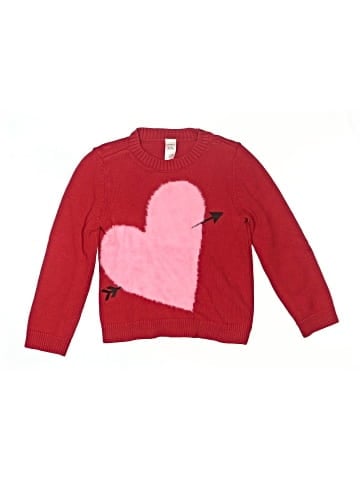 Carter's Pullover Sweater (view 1)