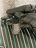 Mlle Gabrielle Stripes Green Casual Dress Size XL - photo 8