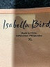 Isabella Bird Orange Short Sleeve Top Size XL - photo 7