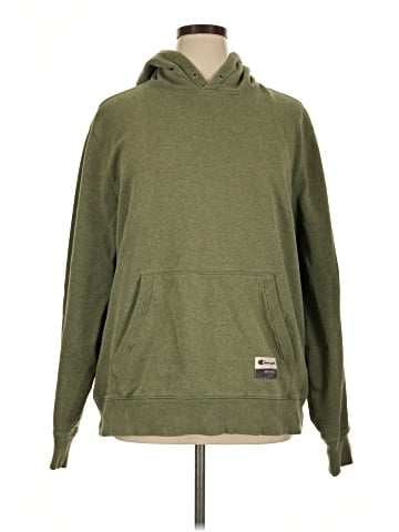 Champion Pullover Hoodie (view 1)