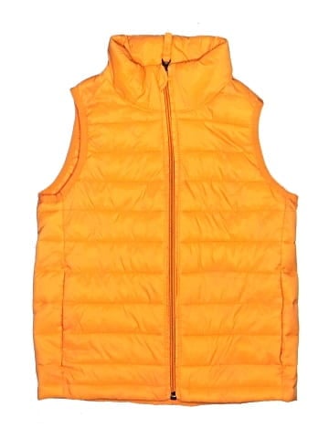 Amazon Essentials Vest (view 1)