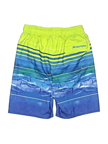 ZeroXposur Board Shorts (view 2)