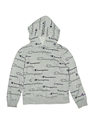 Champion Pullover Hoodie (view 1)