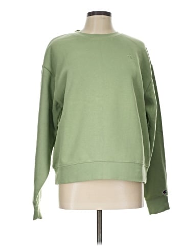 Champion Sweatshirt (view 1)
