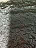 Unbranded Animal Print Gold Coat Size L (estimated) - photo 6