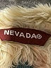 Nevada Teal Jacket Size XS - photo 6