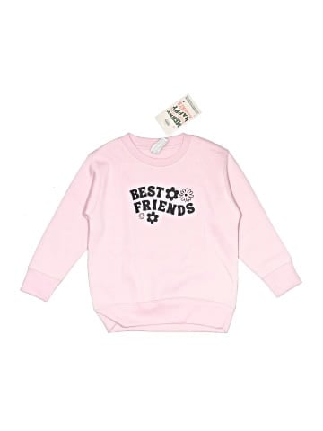 Rabbit Skins Sweatshirt (view 1)