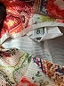 Bernard Zins 100% Polyester Floral Red Casual Pants Size 8 - photo 7