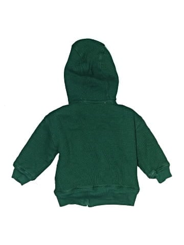 Baby Gap Zip Up Hoodie (view 2)