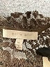 Eri + Ali Gray Long Sleeve Blouse Size XL - photo 7