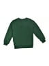 Petit Lem Green Sweatshirt 18-24 MO / 24 MO - photo 2