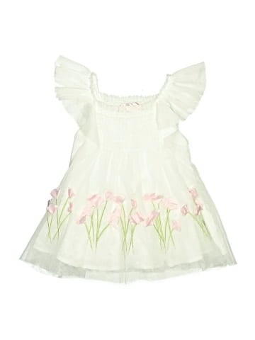 Biscotti Collezioni Dress (view 1)