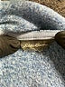 Eddie Bauer Blue Coat Size L (estimated) - photo 6