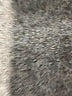 Ellejay Ivory Cocktail Dress Size M - photo 8
