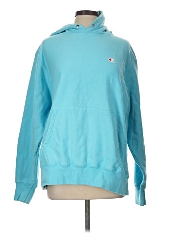 Champion Pullover Hoodie (view 1)