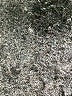 Lane Bryant Floral Gray Jumpsuit Size 14 - 16 Plus - photo 5
